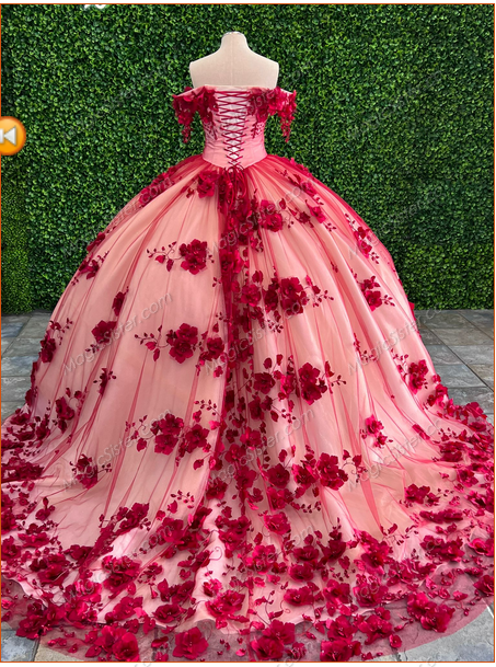 Instock 3D Flowers Quinceanera dresses