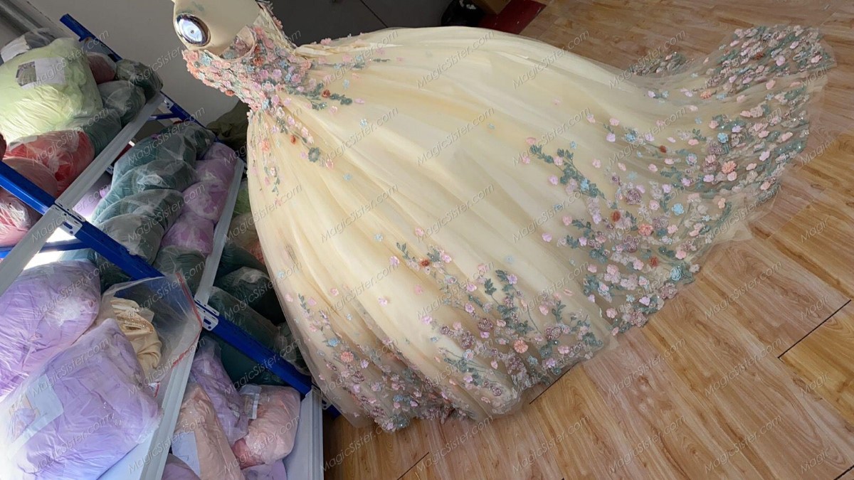 Instock 3D Flowers Quinceanera dresses