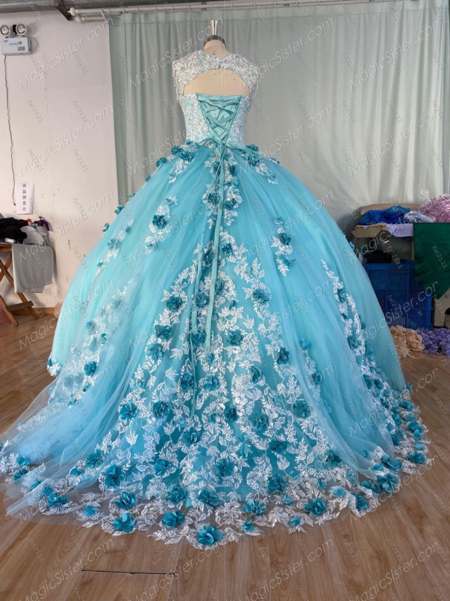 Instock 3D Flowers Quinceanera dresses
