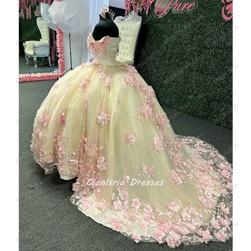 Instock 3D Flowers Quinceanera dresses