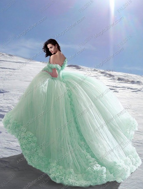 Top Selling Instock Sage 3D Flowers Quinceanera dresses