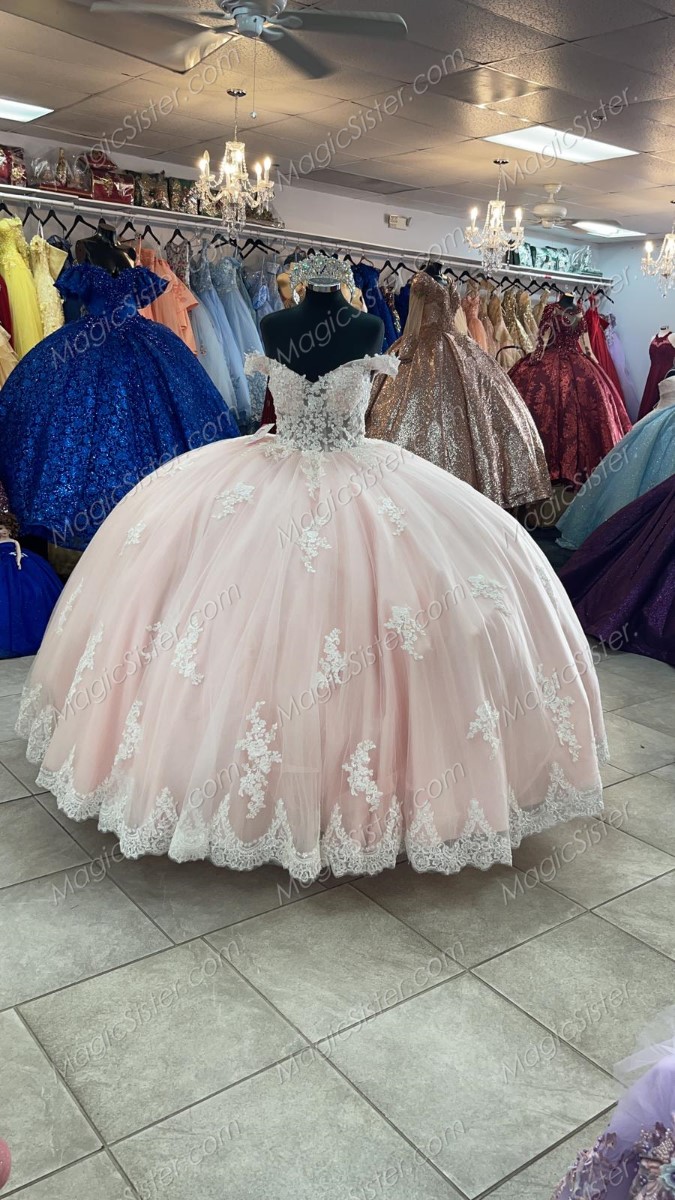 Instock 3D Flowers Quinceanera dresses