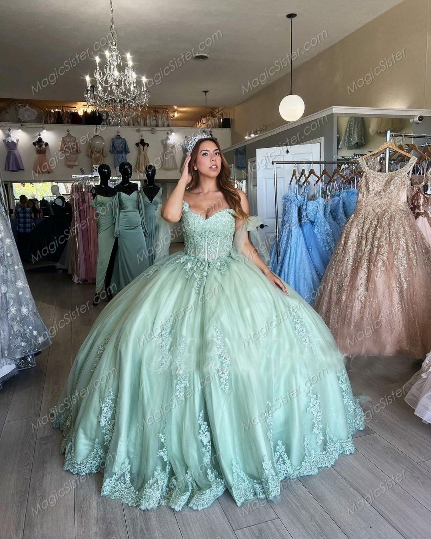 Top Selling Instock Sage 3D Flowers Quinceanera dresses
