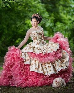 Instock embroidery Flowers Quinceanera dresses