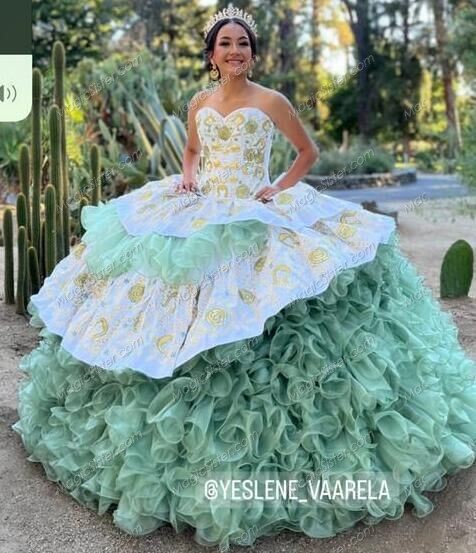 Top Selling Instock Embroidery Flowers Quinceanera dresses