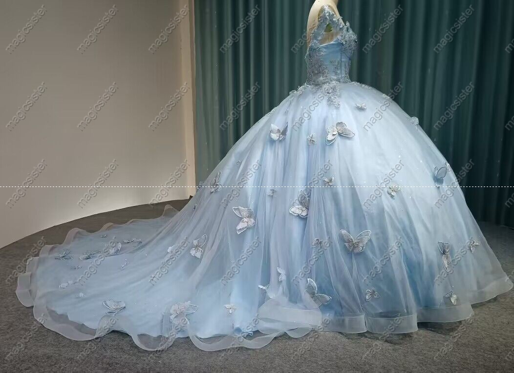 Instock Butterfly Quinceanera Dresses