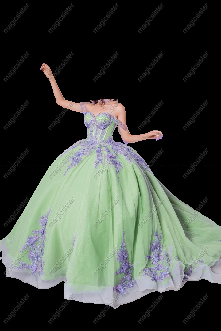 Instock Factory 3D Embroidered Floral Quinceanera Dress