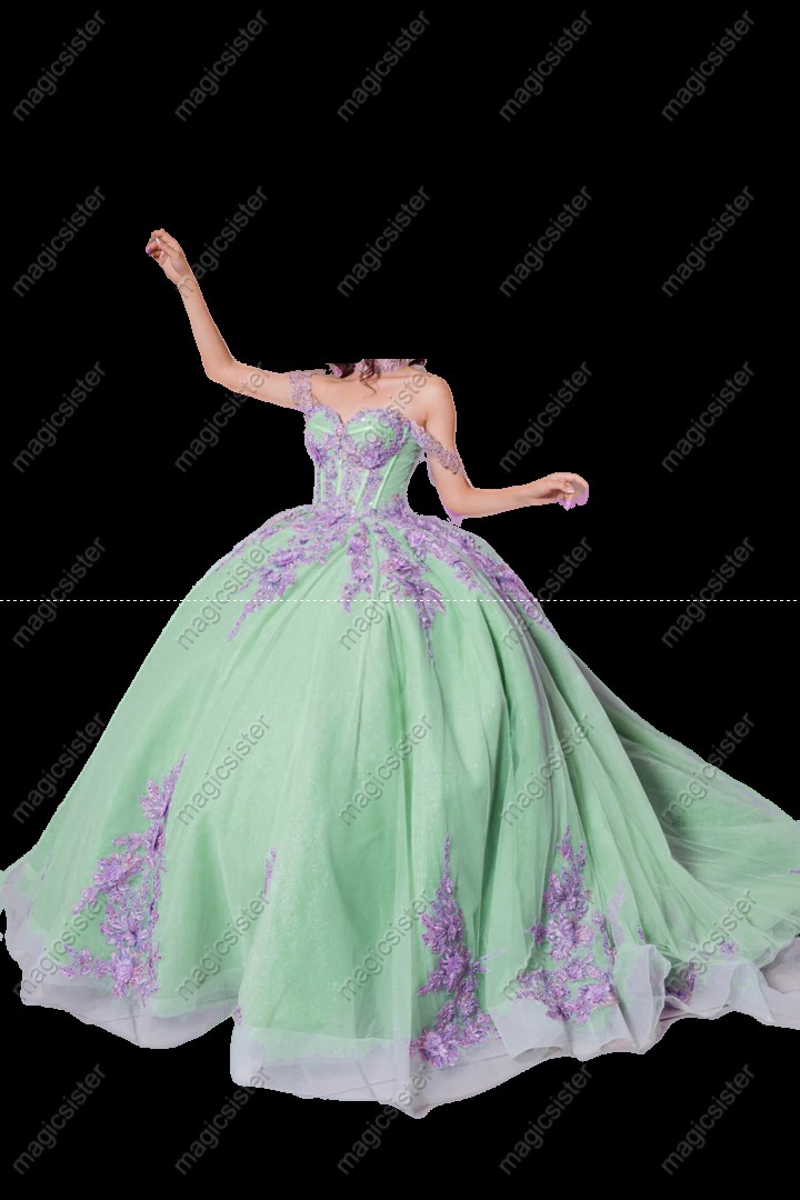 Instock Factory 3D Embroidered Floral Quinceanera Dress