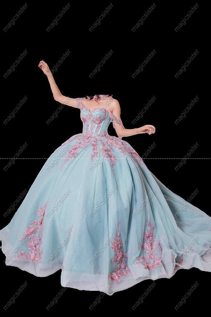 Instock Factory 3D Embroidered Floral Quinceanera Dress