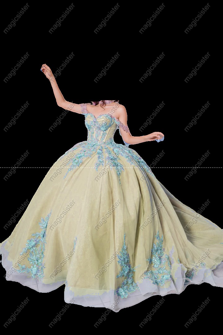 Instock Factory 3D Embroidered Floral Quinceanera Dress