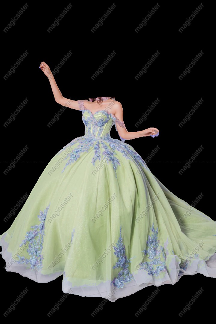 Instock Factory 3D Embroidered Floral Quinceanera Dress