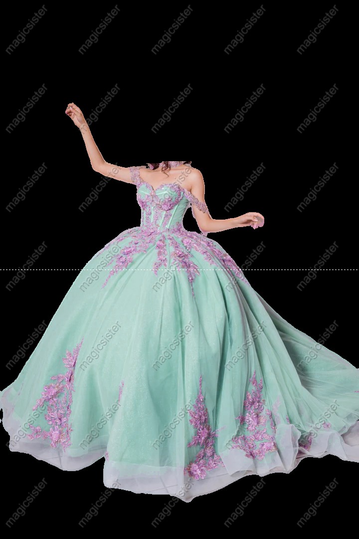 Instock Factory 3D Embroidered Floral Quinceanera Dress