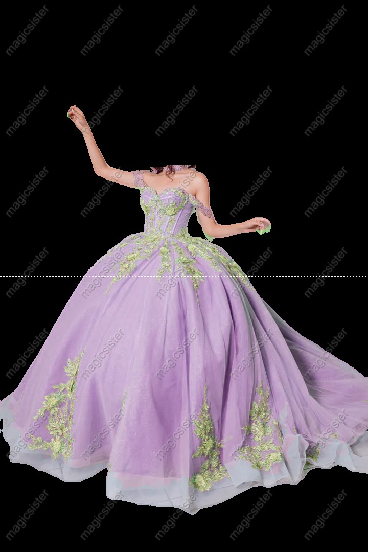 Instock Factory 3D Embroidered Floral Quinceanera Dress