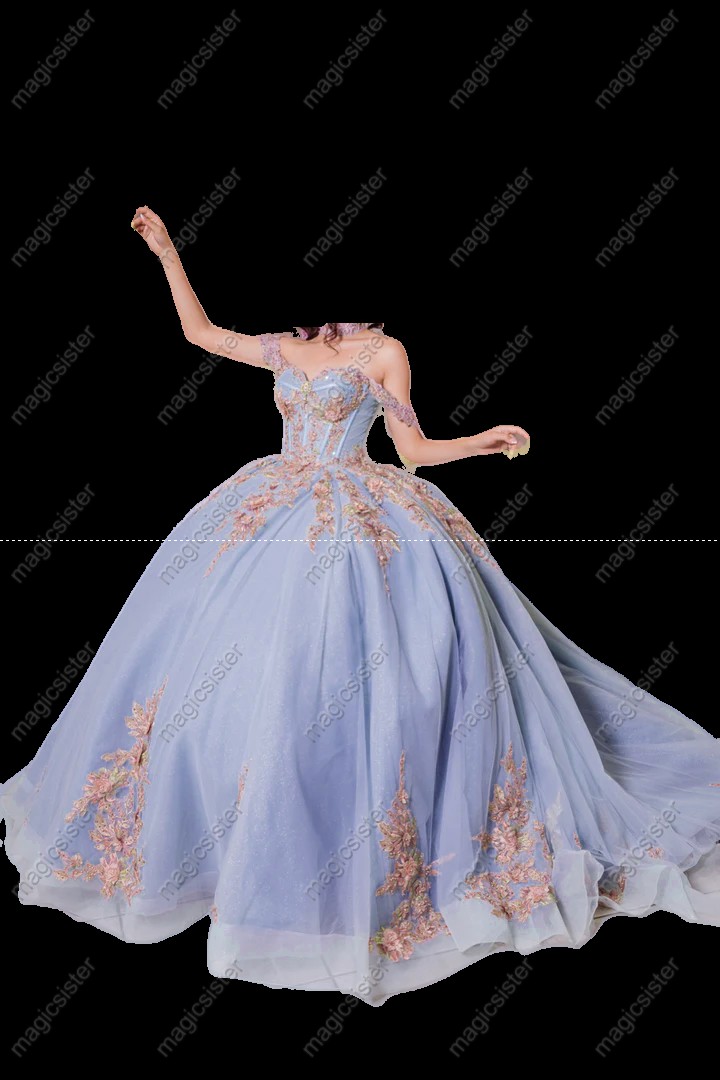 Instock Factory 3D Embroidered Floral Quinceanera Dress
