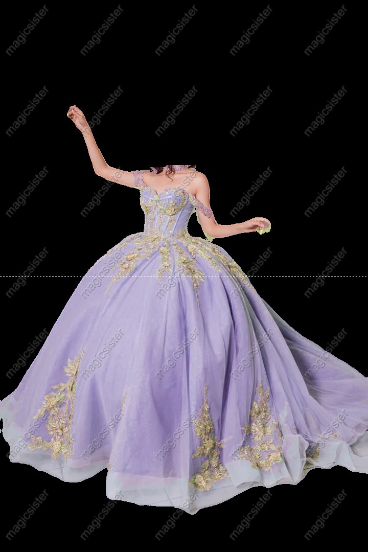 Instock Factory 3D Embroidered Floral Quinceanera Dress
