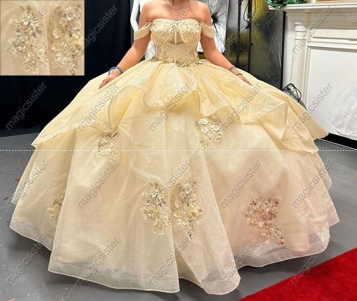 Instock Factory Wholesale Glitter 3D Floral Appliques Quinceanera Dress