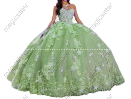 Elegant Instock 3D Flower Quinceanera Dress