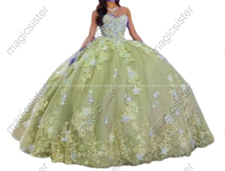 Elegant Instock 3D Flower Quinceanera Dress