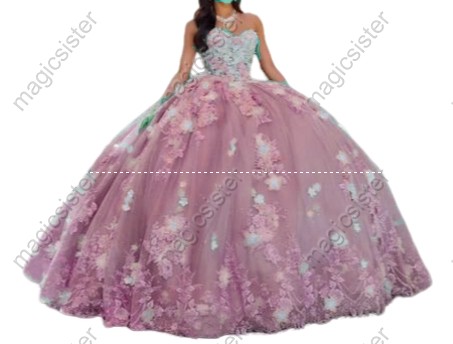 Elegant Instock 3D Flower Quinceanera Dress