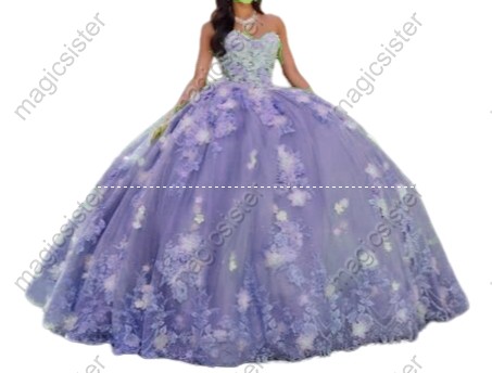 Elegant Instock 3D Flower Quinceanera Dress