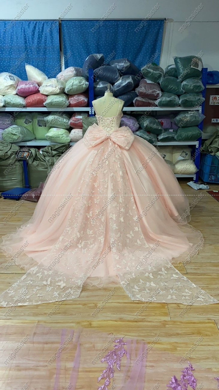 Topselling Princess Butterfly Quinceanera Dress