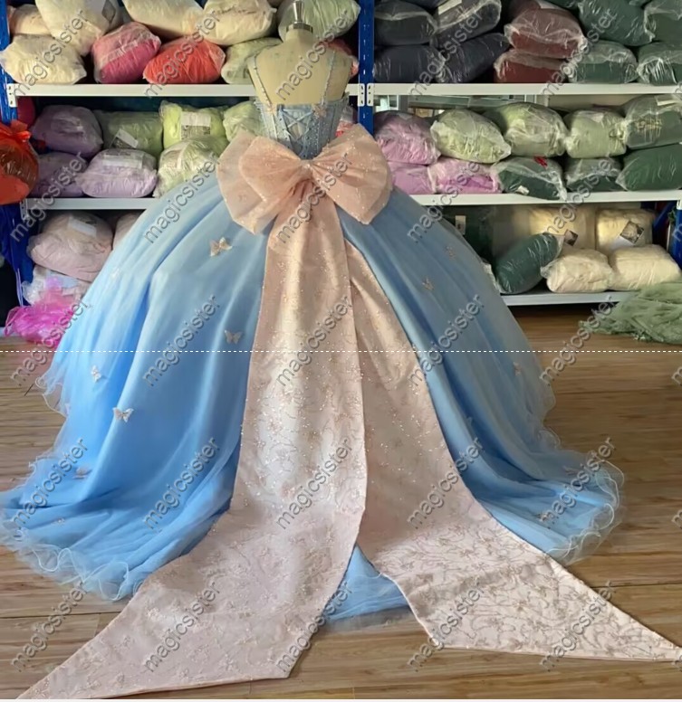 Topselling Princess Butterfly Quinceanera Dress