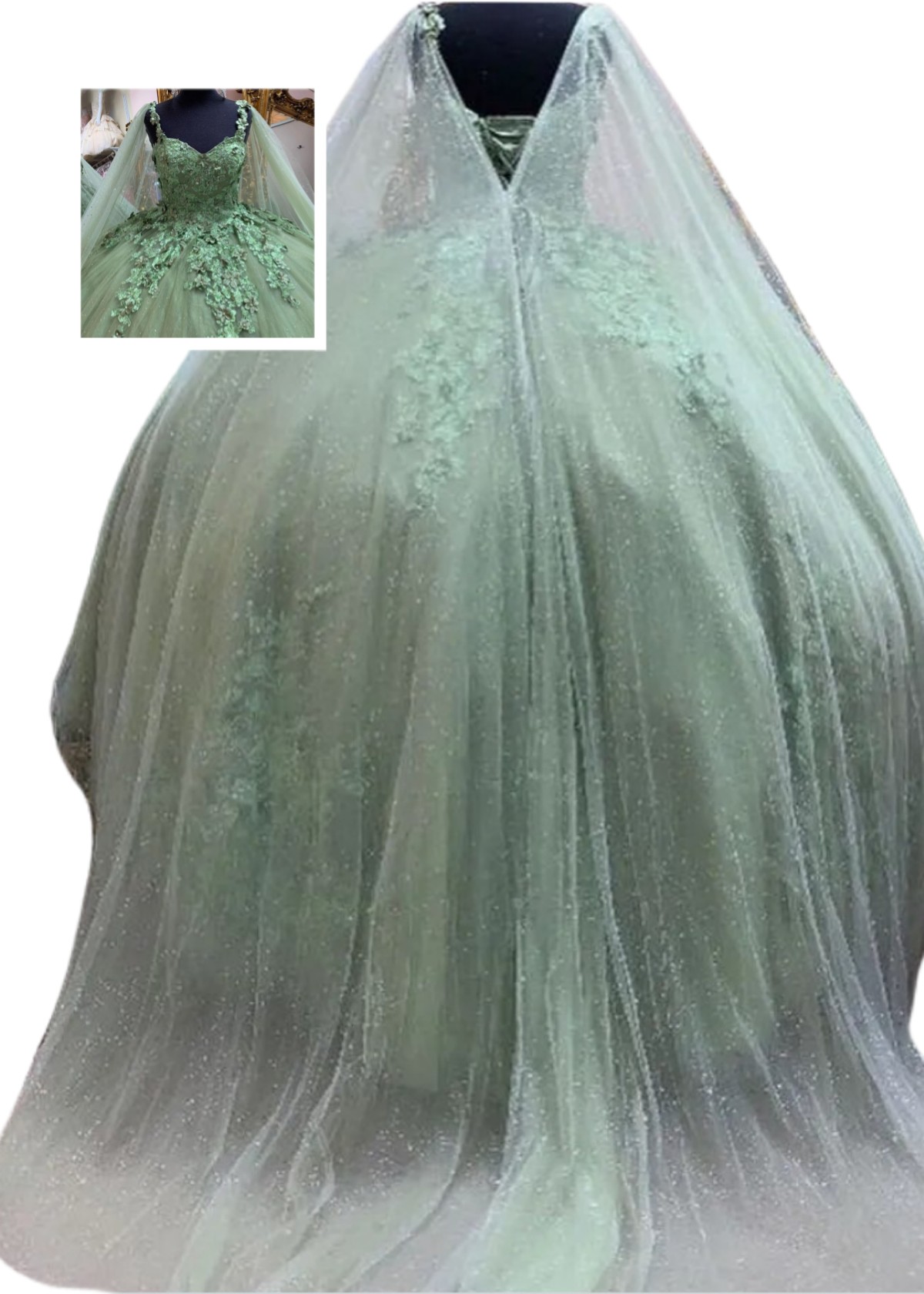 Superhot 3D Flower Appliques Quinceanera dresses