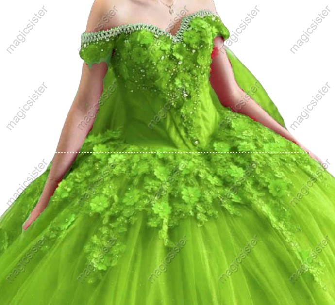 Sparkly Customized 3D Floral Quinceanera Dress