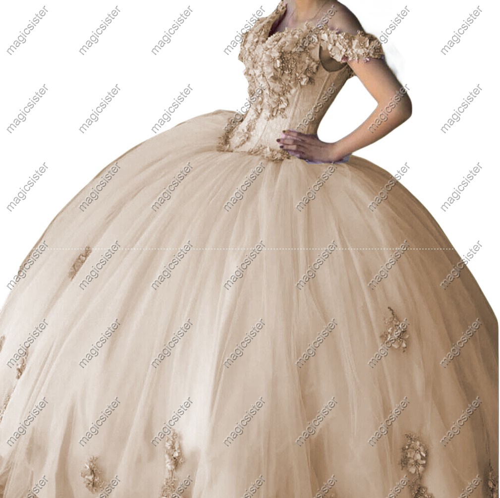 Factory wholesale customized 3D floral quinceanera dress