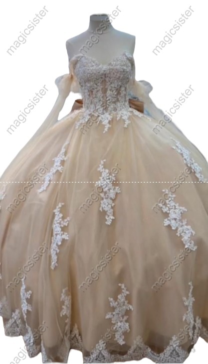 Elegant Hot Selling Factory Wholesale Quinceanera Dress