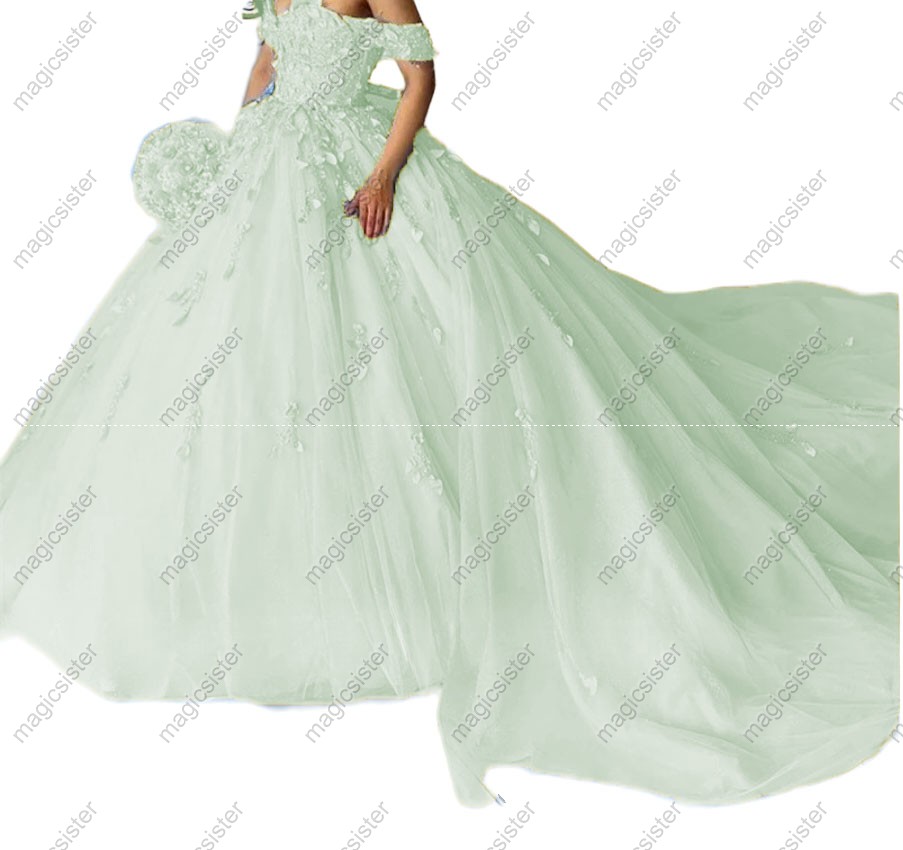 Factory Wholesale Glitter Floral Appliques Quinceanera Dress