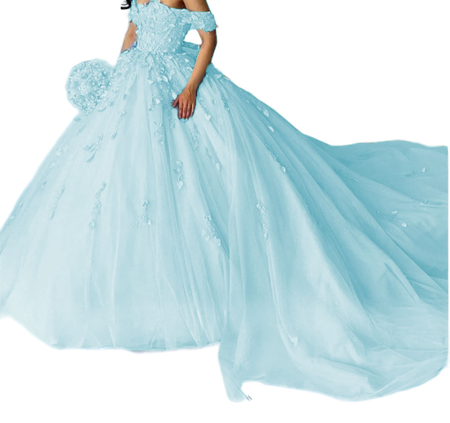 Factory Wholesale Glitter Floral Appliques Quinceanera Dress