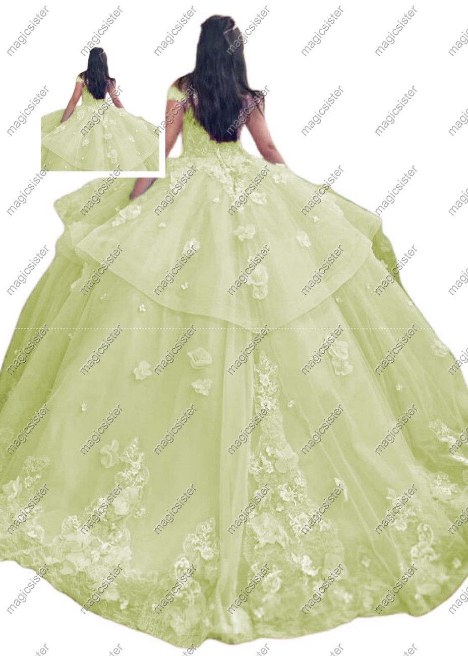 Sage Factory wholesale Customized 3D Floral Quinceanera Dress