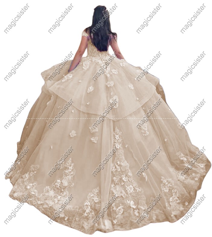 Factory wholesale Customized 3D Floral Quinceanera Dress