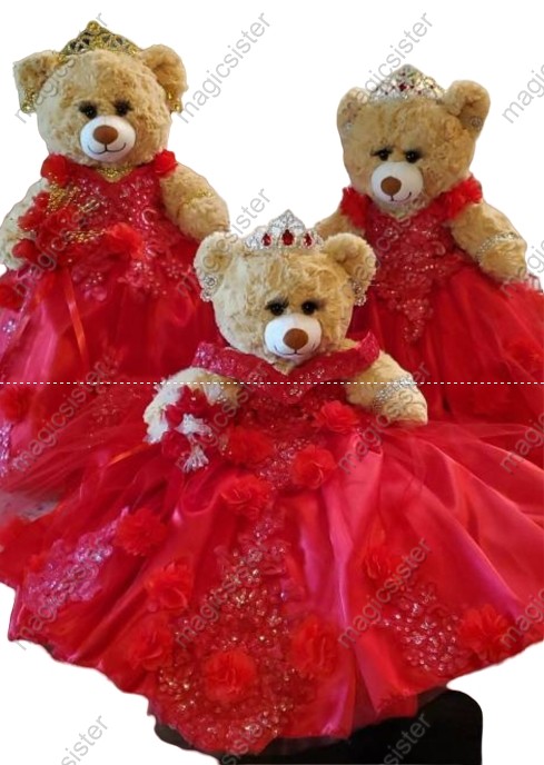Beautiful Hotselling Matching Barbie and Bear Dress