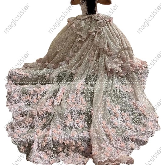 Topselling Customized Quinceanera Dress