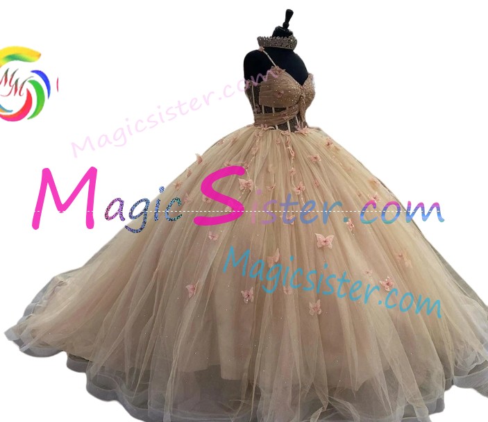 New Style Butterfly Quinceanera Dress