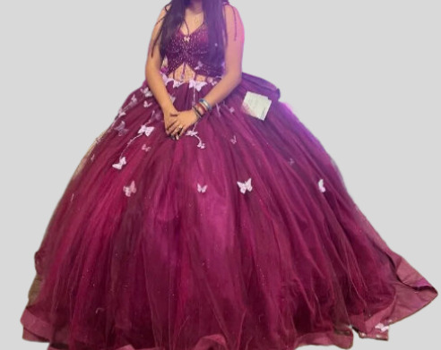 Hotselling Matching Barbie and Bear Dress