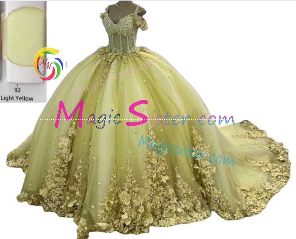 Customized 3D Floral Quinceanera Dress