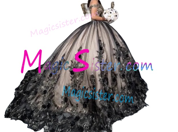 Topselling Black Quinceanera Dress