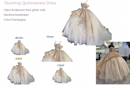 Iridescent Thick Glitter Tulle Quinceanera Dress