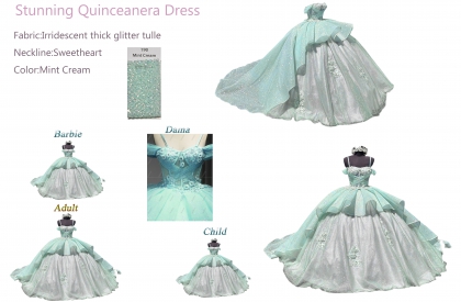 Iridescent Thick Glitter Tulle Quinceanera Dress