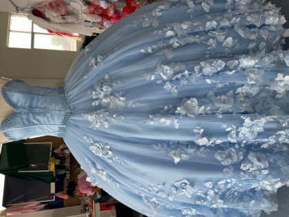 Instock 3D Flowers Quinceanera dresses