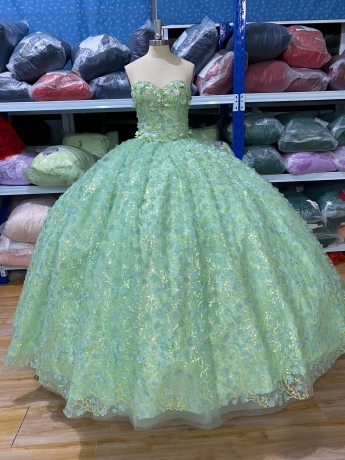 Instock Sage 3D Flowers Quinceanera Dresses