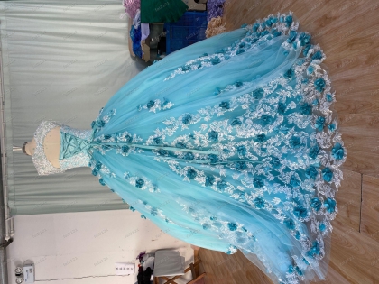 Instock 3D Flowers Quinceanera dresses