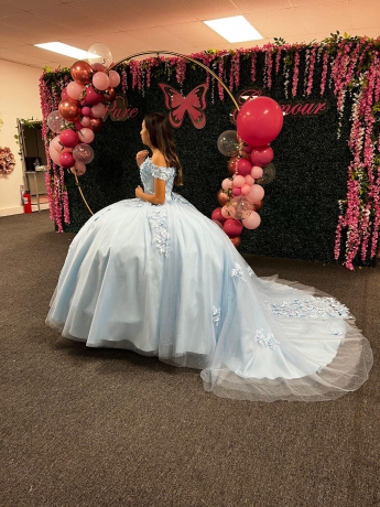 Instock 3D Flowers Quinceanera dresses