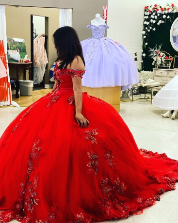 Instock 3D Flowers Quinceanera dresses