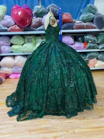 Instock 3D Sequined Flowers Quinceanera dresses