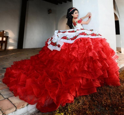 Instock embroidery Flowers Quinceanera dresses
