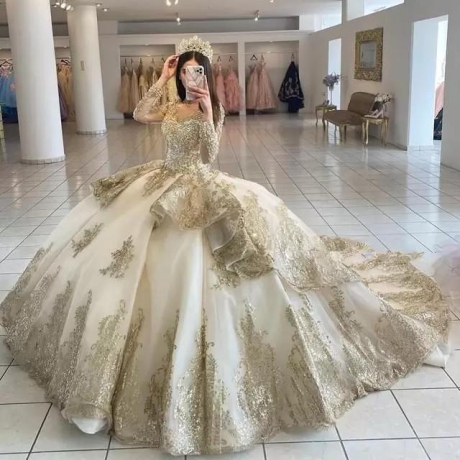 Instock 3D Flowers Quinceanera dresses